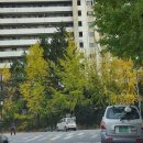 삼덕 공인중개사사무소 이미지