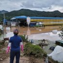 남천제방 이미지