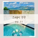 스테이꾸꾸 이미지