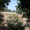 인성군묘 이미지