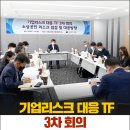 KOEIA(회장 이헌재)/기업리스크 대응 TF 3차 회의 개최 이미지