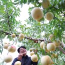 시목농장 이미지