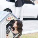 메리무드헤어 네이버블로그