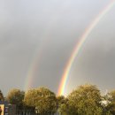 고기파마 이미지