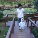 모꼬지공원 이미지