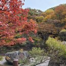 청송필농원 이미지