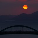 음지교 - 1387 | 음지교