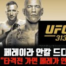 313 이미지