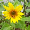 양3동 어린이집 이미지