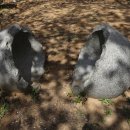 신혜정 둥근소리 이미지