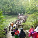 장태산휴양림 이미지