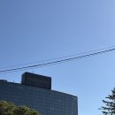 행복 하우스 | W13. 행복했던 그랜드 하얏트 서울 프로포즈 후기 스테이크하우스 다이닝