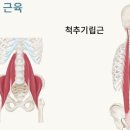 시원 신경외과의원 이미지
