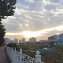 진산대로 이미지