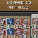 수선화하바리움 이미지