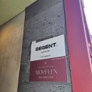 나혜 | 압구정로데오 미용실 비젠트헤어 나혜 실장님 남자 다운펌 추천