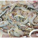 삼천포 회수산 이미지