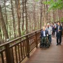 우면산3-14 이미지