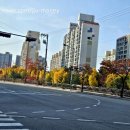 단풍약국 이미지