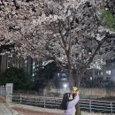 용암마을16단지아파트경로당 | 의정부 민락2지구 용암마을16단지 : 야시장 축제 후기