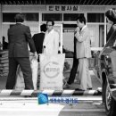 합동분식
