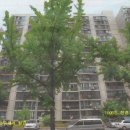 현대그린실내골프연습장 이미지