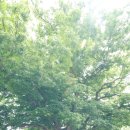 용암농촌체험휴양마을 이미지