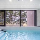 포레스트오션 이미지