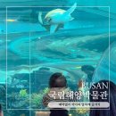 영도구-21 아미르공원 | 부산 영도 가볼만한곳 국립해양박물관 예약없이 아이와 알차게 즐기기