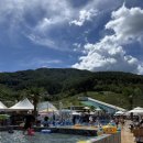 에덴팜스 이미지