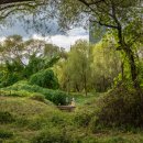 숲내음공원 이미지