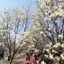 칠산마을회관 이미지