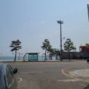읍천리382영일대점 이미지