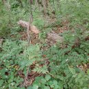 미 in 뷰티 이미지