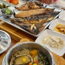 바이크애견 | 강원도 삼척해양레일바이크 애견동반 솔직후기