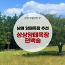 남해 상상양떼목장 편백숲, 남해여행의 필수코스로 추천