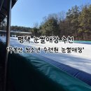 청소년수련원 1층 | 「평택」 무봉산 청소년 수련원 눈썰매장 리뷰