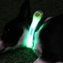 dog's 애견샵 이미지
