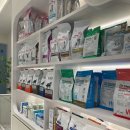 오송 봄봄 동물병원 이미지