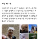 기흥역(수인분당선) | 기흥미용실 컬러프리｜귀여운 강아지와 고급 클리닉을 5만원에 시원한 두피마사지까지