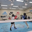 병점센트럴복싱 이미지