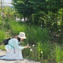 프라임마트 마곡점 | 서울식물원 낭만수국전 후기｜마곡 당근 모임과 초여름 꽃 산책