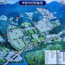 호국 보훈의 달/국립대전현충원 참배