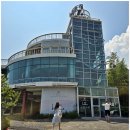 코우코알라 이미지