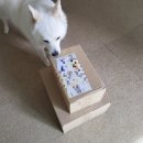 동오메디칼 이미지