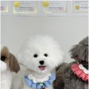 멍케이크 이미지