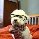 생활 중국어 이미지