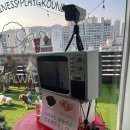 애견랜드 | 부산 시청 근처 새로 오픈한 실내외 애견카페, 왈왈랜드 후기