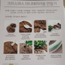 미미그라스 크리스마스 미니테라리움 만들어 본 후기