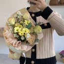 아일리플레르